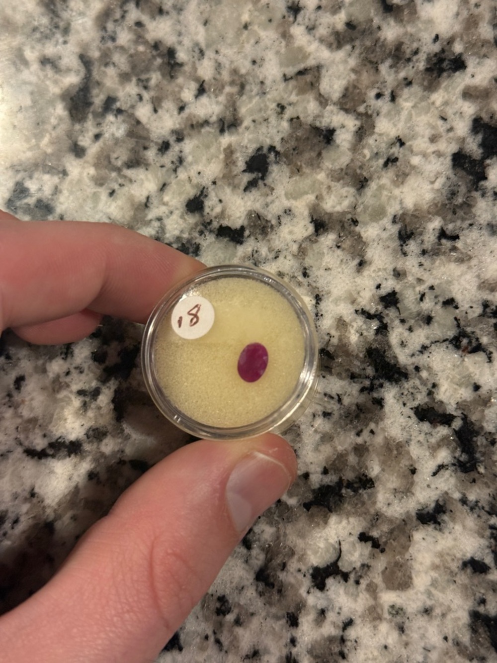 0.8 Carat Natural Ruby Oval Loose Stone